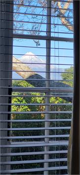 Eclectic Cottage - New Plymouth