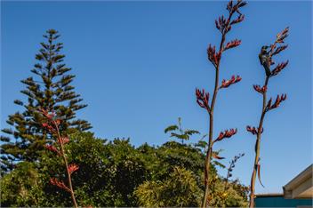 Relax and Unwind at Te Horo Beach - Otaki