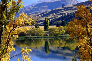 Arrowfield Apartments - Arrowtown