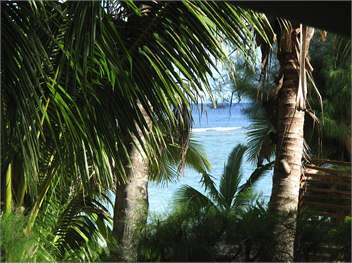 Teanoi's Beach House - Cook Islands