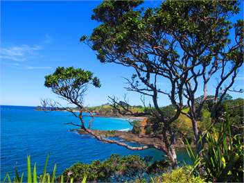 Kotari Point - Whangarei Northland