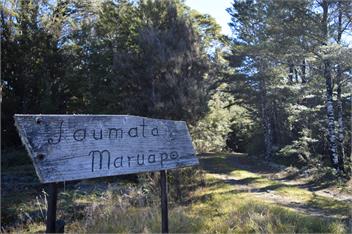 Taumata Maruapo - Resting Place of Dreams - St Arnaud/Lake Rotoiti