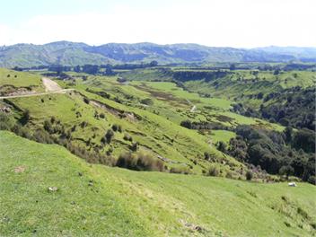 Aotea Homestead & Cottage - Martinborough