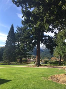 The Lodge Garden Chalet - Hanmer Springs