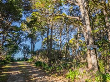 Matai Cottage (Bachcare) - Pakawau