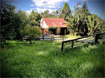 Red Barn - Western Bay of Plenty