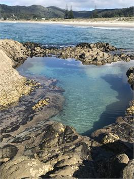 Medland's Beach Hideout - Auckland