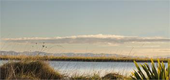 Tio Point (Bachcare) - Papakura