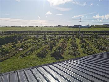 Country Living on Surfhighway 45 - new plymouth