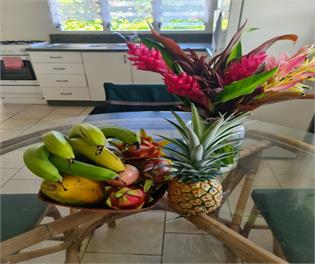 Mango Cottage - with A/C, unlimited Wifi and plunge pool - Avarua