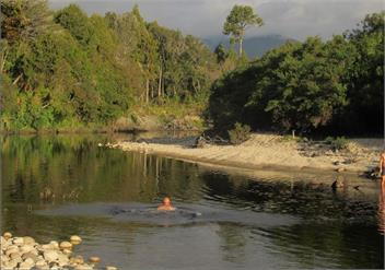 Immerse yourself in the West Coast native flora and fauna - swimming, sunsets and tranquility - Westport