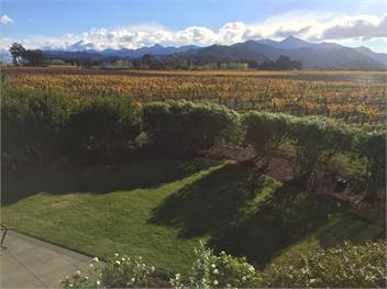 Vineyard View (Bachcare) - Blenheim
