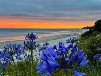 Affordable Motorhome at the beach -