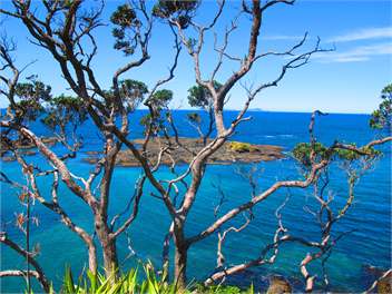 Kotari Point - Whangarei Northland