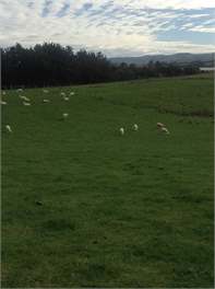 Catlins Lake View - Owaka