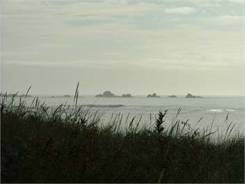 ***LONGSPUR ECO COTTAGE*** - South Wairarapa