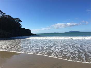 Langs Waterfront-for those who like the best! - Auckland