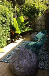 The Little Shed - Tairua