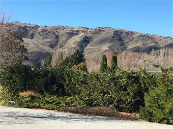 Dunstan View Cottage - Cromwell 