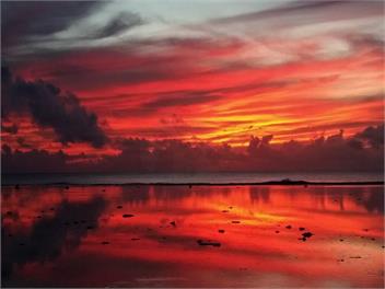 Sunset Palms Rarotonga - Beach Bungalow - Rarotonga
