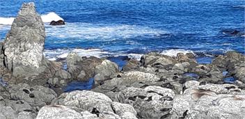 Woodbank School House - Kaikoura