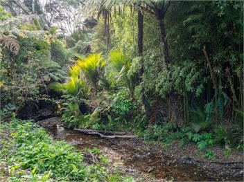 Valley Hideaway (Bachcare) - Kuaotunu