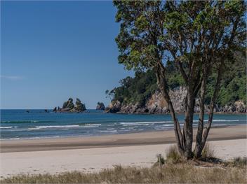 Beachfront Beauty (Bachcare) - Whangamata
