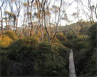 Immerse yourself in the West Coast native flora and fauna - swimming, sunsets and tranquility - Westport