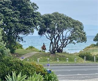 Affordable Motorhome at the beach -