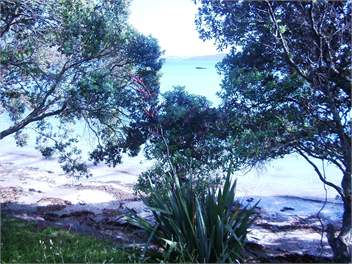 Absolute Waterfront Holiday House - Algies Bay