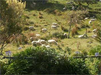 Akitio Retreat - Dannevirke