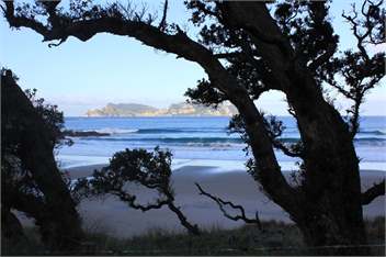 Shearers Quarters - Great Barrier Island