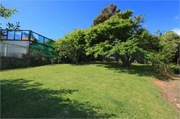 Punawai Raglan Cottage - Pet Friendly - Raglan