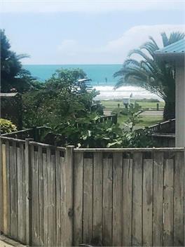 Korimako - Whakatane