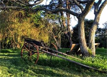 Romantic Retreat,Clevedon, close to sea - Auckland