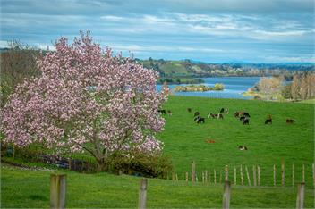 Lakeview Lodge Karapiro - Bijou Huntington - Cambridge