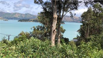 Bay View in Charteris Bay, Banks Peninsula, Canterbury - Christchurch