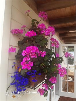 HARBOUR VIEW COTTAGE - Boutique Accommodation - Auckland