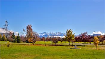 The Nest - Wanaka