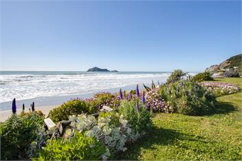 Absolute Beachfront (Bachcare) - Waimarama