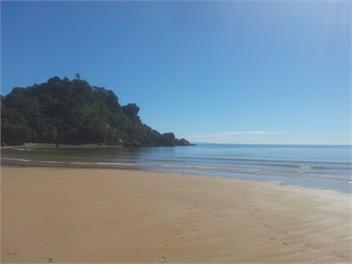 Walk Down the Drive to the Beach - Takaka
