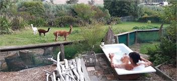 Nelson Coastal Barnstay - The Barn - Tasman