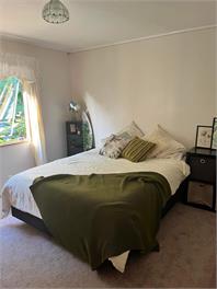 Tuis nest - Bay of Islands