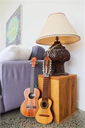 Laze Daze - Coromandel
