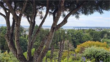 On Top of the World - Tauranga