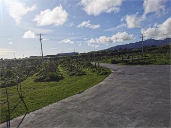 Country Living on Surfhighway 45 - new plymouth