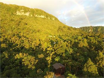 Punakaiki Forest Retreat - Punakaiki