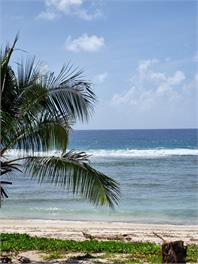Ocean Beach Bach Rarotonga - Rarotonga