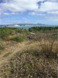 Blue Bay Bach – Opoutama Beach Mahia - Mahia