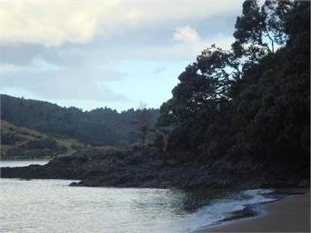 The Bach - Port Charles